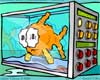 aquarium aquarium