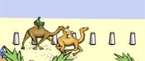 camel camel