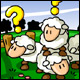 puzzled sheep
